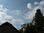 Třibřichy